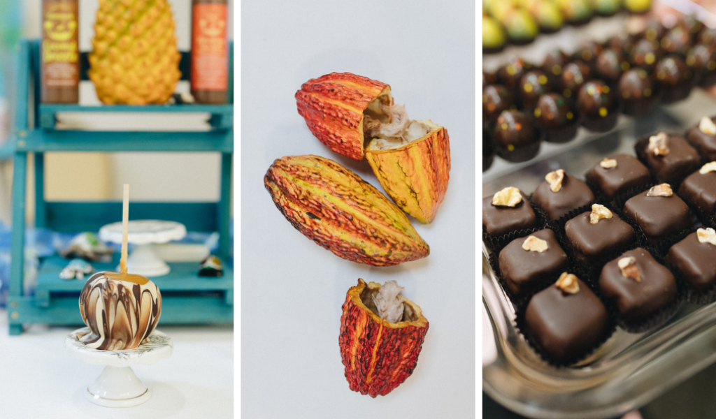 Blue Ridge Chocolate Festival 2025